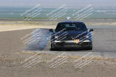 media/May-03-2024-PCA Central Coast (Fri) [[eaa7da0ee1]]/Yellow Group/Session 1 (Grapevine)/